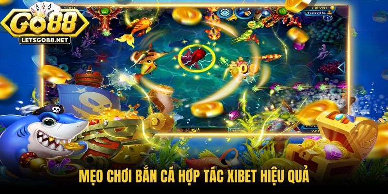 Mẹo chơi bắn cá hợp tác XIBET hiệu quả